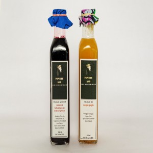 vinagre de bissap, ananas-romarin, mangue pulpée